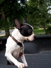 100_9007.JPG
